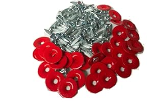 CAMPANIA SISTEMI SRL Chiodi topografici da 2,5 cm più rondelle rosse - Conf. da 100 pz