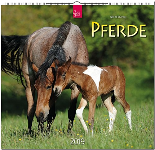 MF-Kalender PFERDE 2019