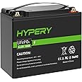 Smart 12V 30AH LiFePO4 Battery with BMS, Perfect Lithium Battery for RVs, Golf Carts, Boats and Home Energy Storage