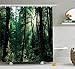 Produktbild JIEKEIO Nature Shower Curtain, Sunset in Woods Sun Beaming Through Forest Trees Wilderness Scenery, Fabric Bathroom Decor Set with Hooks, 60W X 72L Inches, Forest Green Light Yellow