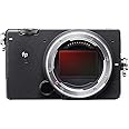Sigma fp L Mirrorless Digital Camera
