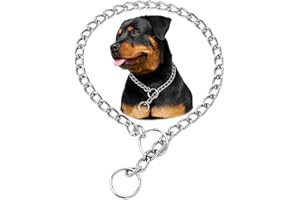 HOTLION Silver Dog Chain Collar, Heavy Duty Dog Necklace, for Training, Chew Proof Martingale Puppy Dog Chains for XXS XS Small Medium Large Big Dogs