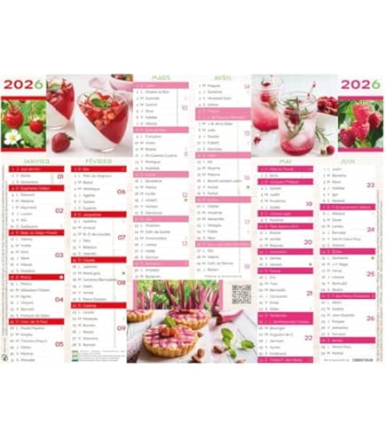 OBERTHUR Agenda Scolaire Karl Marc John 15x21cm Pas Cher