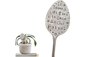 Neckip Garden Marker Friendship Gift, Silver Stamped Spoon Plant Markers, Funny Humor Plant Label Gift, Creative Plant Markers Spoon for Plants, Herbs or Flowers (It Takes A Long Time to Grow)