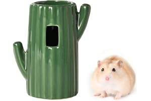 BUCATSTATE Hamster Water Bottle Stand, Cactus Ceramic Water Bottle Stand Holder for Hamsters Small Pet Animals (Only Cactus Ceramic Water Bottle Holder), green (XRZ-01)