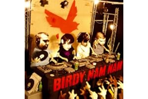 Birdy Nam Nam