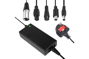 Winric Electric Scooter Charger, 29.4V2A Mobility Battery Charger, Electric Bike Charger with 5-Connectors Lithium Battery for Electric Balance Scooter, Electric Bike, Drifting Board