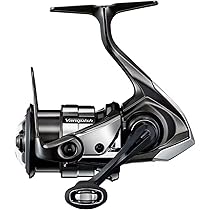 SHIMANO 20 Calcutta Conquest DC 100HG Right : Amazon.fr: Sports et