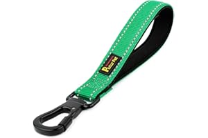 PLUTUS PET Strong Training Dog Lead with Rock Climing Carabiner Clip, Relective Nylon Dog leash Padded Handle, Training Lead for Large and Medium Dogs(25cm,Green)