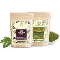 Buy KHADI NATURAL Organic Powder Pack of 2 (Indigo + Natural Henna ...
