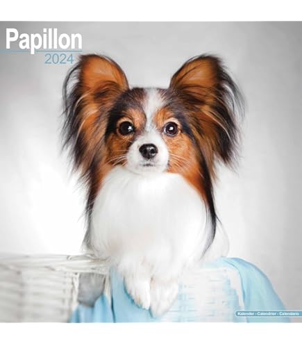 Papillon Calendar 2026 – A Year Of Elegance And Charm