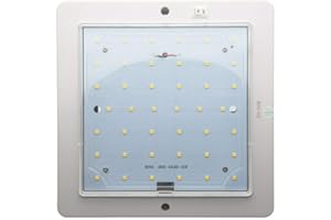 xinxiu Plafonnier LED 12 V pour camping-car, caravane, camping-car, bateau, lumière blanche