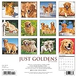Image de Just Goldens 2017 Calendar