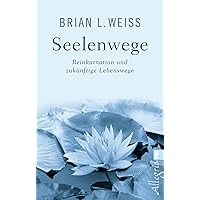 Seelenwege: Reinkarnation und zukünftige Lebenswege