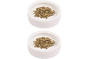 JNAWA 2 Pieces Worm Dish Mini Reptile Food Bowl White Ceramic Reptile Round Feed Bowl Ceramic Water Bowl for Geckos Frogs Lizards Chameleons