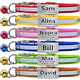 Vcalabashor Collier de Chat Personnalisé avec Nom et Numéro de Téléphone/Plaque Signalétique en Acier Inoxydable/Étiquettes d'identification Silencieuses pour Chats/Réfléchissant
