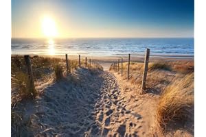 AGKMLPIN Malen Nach Zahlen Kit Strand Am Meer Vorgedruckt Leinwand-Ölgemälde Geschenk Für Erwachsene Kinder Kits Home Haus Dekor