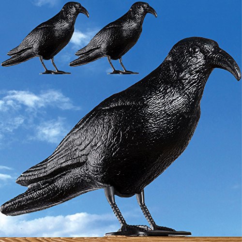 Taubenschreck Krähe schwarz - 3x