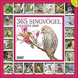 365 Singvögel 2019 - Broschürenkalender - Wandkalender - mit Poster und Sound-App - Format 30 x 30 cm by 