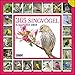 365 Singvögel 2019 - Broschürenkalender - Wandkalender - mit Poster und Sound-App - Format 30 x 30 cm by 