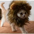 Disfraz De Halloween Para Perro - Traje "Muñeca Asesina", Talla M | Ajustable, Poliéster, Para Perros Y Gatos Medianos