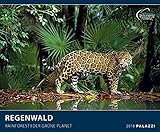 REGENWALD 2018 mit Spende : Der Grüne Planet - Rainforest - Naturschutz - Kalender 60 x 50 cm by