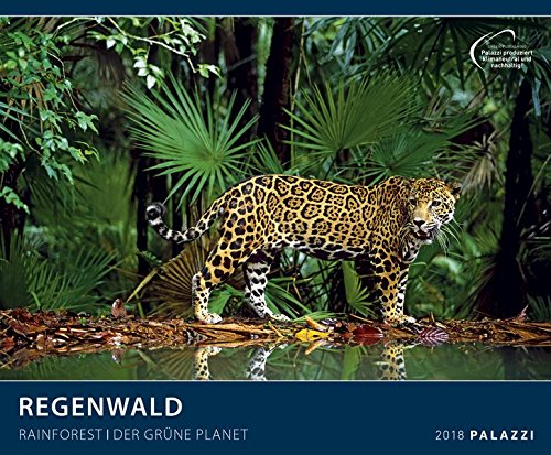 REGENWALD 2018 mit Spende : Der Grüne Planet - Rainforest - Naturschutz - Kalender 60 x 50 cm