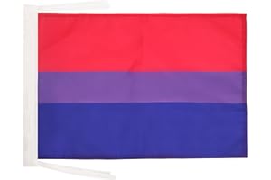 AZ FLAG Bandera Arco Iris Bisexual 45x30cm - BANDERINA Bisexual – Rainbow 30 x 45 cm cordeles