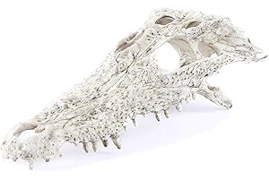 Kocris Casa Decoration Terrarium Squelette Dinosaure Décoration D'Aquarium Décor Paysagère pour Aquarium Crane Tete De Mort Halloween Decoration Deco Crâne