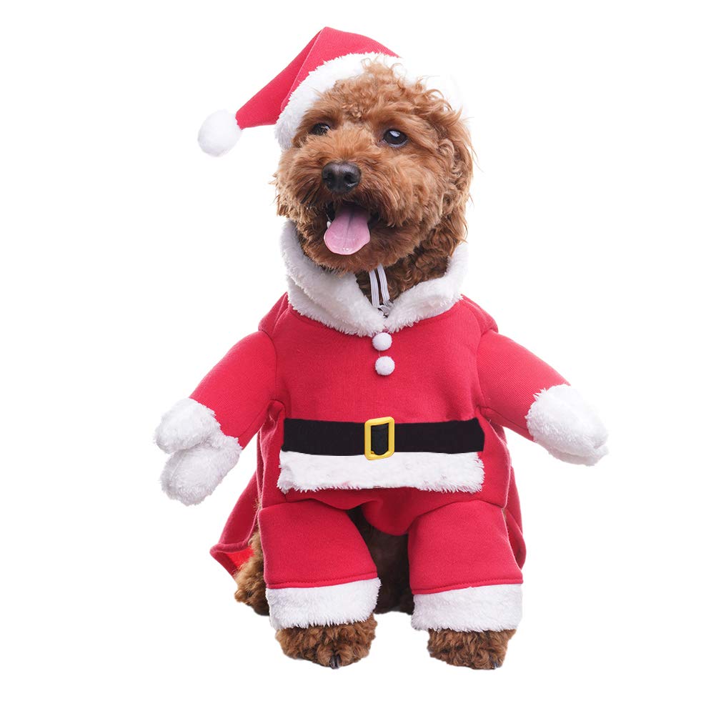 Christmas Dog Outfits For Large Dogs Paul Smith