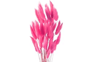 ROOBZE Pampas secas Decoracion 50 Unidades Flores secas Naturales Ramo, decoración de Dormitorio Flores secas Ramo Flores secas Interior Boda decoración del hogar (Rosa roja)