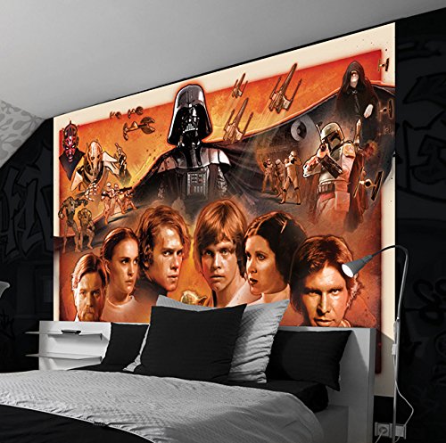 Wizzard & Genius wg-1591p4-lc Star Wars El Despertar de la fuerza foto papel pintado, multicolor