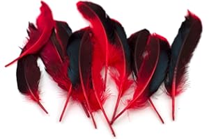 ‎CREATIVERY 10 Entenfedern ca. 10-15cm (rot 250) // Echte Federn Ente Natur Deko Bastelfedern Dekofedern Duck