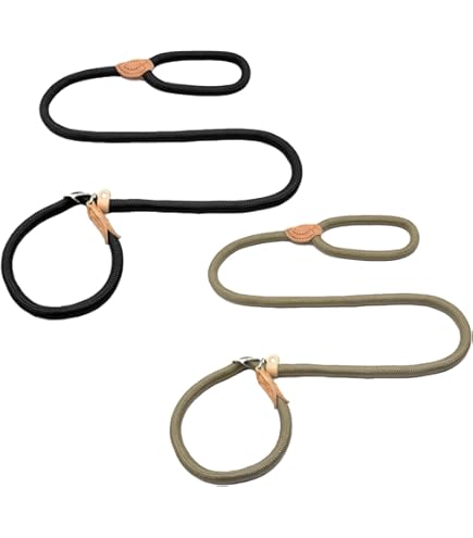 Praktische Retrieverleine Mit Zugstopp - Sicherer Spaziergang Mit Deinem Hund