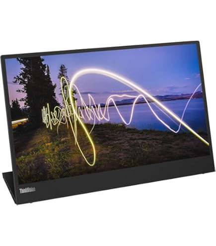 Lenovo ThinkVision M14d 14