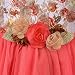 Wish Karo baby girls Frock Dress DN fe1208t -12-18 Mths RS.849.00