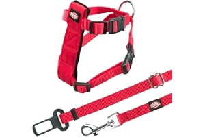Bä och bä säkerhet katter, 20–50 cm
