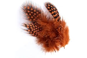 ATST Pack of 10 Quality Dip Dyed Spotty Rooster Feathers – 10 Vivid Colours – 2-5” Long (5-12cm) (Orange)