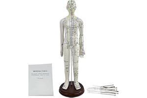 KDJFS 1/3 Punti di Agopuntura Manichino, 52cm Manichino Esercitazione Agopuntura con Le Istruzioni per la Localizzazione dei Punti di Agopuntura, Utilizzato per la Pratica di Inserimento dell'ago