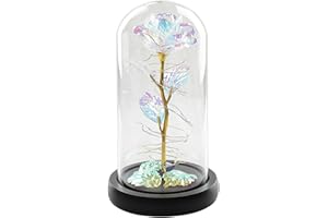 ROSEBEAR Glaskristall-Rosen-Geschenke, Forever Galaxy Rose in Glaskuppel mit LED-Lichtern,Kristallrose für Geschenk Zum Geburtstag Jubiläum Valentinstag Hochzeit Freundin Frau Frauen