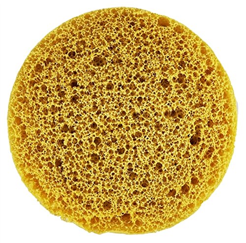 Super Soft Drench Sponge
