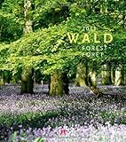 Image de Wald 2013