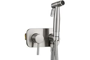 Tecmolog Bidet Set Unterputz WC-Brause Edelstahl Kaltes und Heißes Wasser Bidet Handbrause mit Schlauch und Halter
