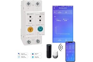 WEBN Ewelink APP 2P 63A Din Rail WiFi Energy Meter Intelligent Power Consumption kWh Circuit Breaker Switch