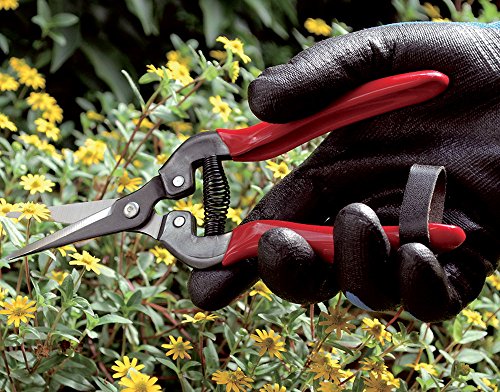 Preisvergleich Produktbild Profi Blumen- Ausputzschere, 19cm