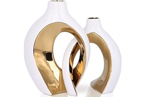 OLIRUIM Juego de decoración de jarrón de cerámica 2 piezas, decoración bohemia moderna, decoración de habitación de estilo minimalista escandinavo blanco y dorado, adecuado para mesa central, estantería,