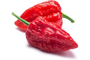 Bhut Jolokia chilifrön – Ghost Pepper med upp till 1 000 000 SHU extrem hetta | En av världens starkaste chilisorter | 25 frön