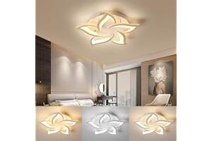 TETIPA LED Ceiling Light Dimmable, 40W-80W LED Living Room Lamp with Remote Control App, Ceiling Lamp with Colour Changing Modern Lamp Ceiling Light Energy Saving Dimming Ceiling Lighting Bedroom Lamp