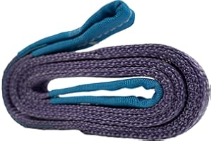 DOLEZYCH Sangles de Levage - Capacité de Charge : 1000 kg - Violet - Longueur : 4 m - pour grues, chaînes et ateliers