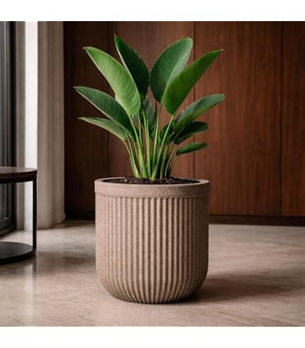 RSP HOME DECOR Tokyo Pots for Plants (24 inches Height)| Highly